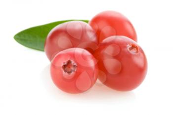 ripe cranberry isolated on white background