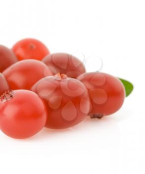 ripe cranberry isolated on white background