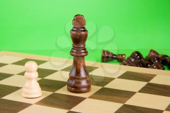 chess piece isolated on green background