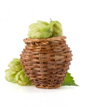 hop in basket isolated on white background