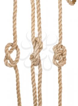 close up ship ropes with a knot isolated on white background