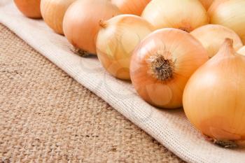 onion on sack background material