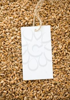 wheat grain and price tag