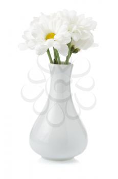 flowers in vase isolated on background