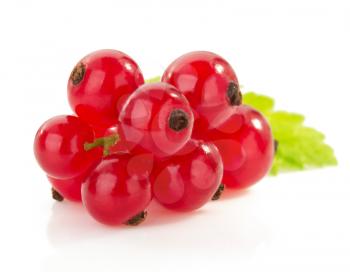red currants isolated on white background