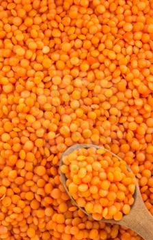 red lentil as background texture
