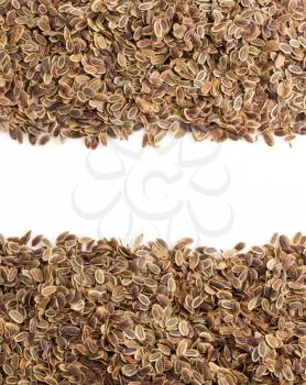 dried dill seeds isolated on white background