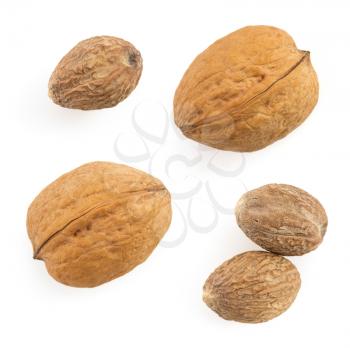 nutmeg spice isolated on white background