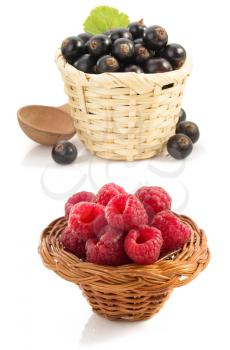 raspberry  and currants berry on white background