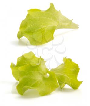 salad leaf isolated on white background