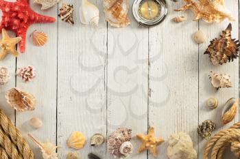 seashell on wooden background texture