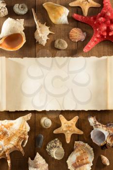 seashell on wooden background texture