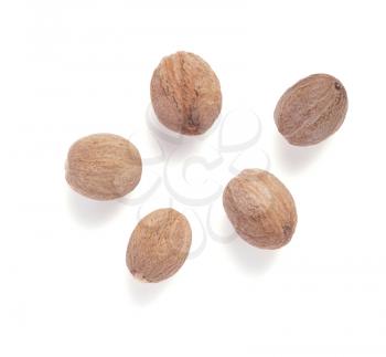 spices nutmeg isolated on white background
