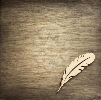feather pen toy at wooden background surface