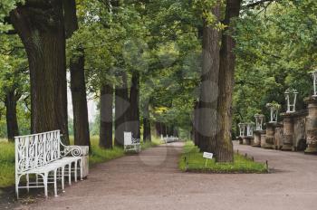 The avenue and benches in Catherine Park of the settlement Tsarskoye Selo the Leningrad region nearby to the city of St. Petersburg.