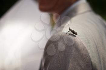 The manual satellite a cockroach on a shoulder at the person in a suit.