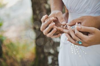 Embraces of hands of the newly-married couple with wedding rings in them.