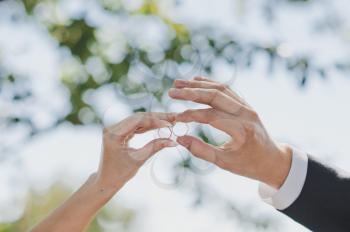Palms of the newly-married couple with wedding rings in fingers.