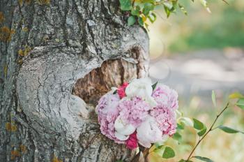 Bunch of flowers in a tree in the form of heart.