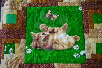 Blanket with the image of a kitten.