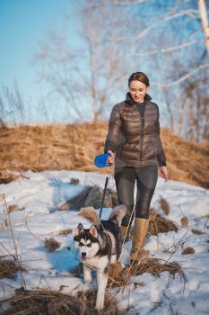 Walk with the husky in the winter.