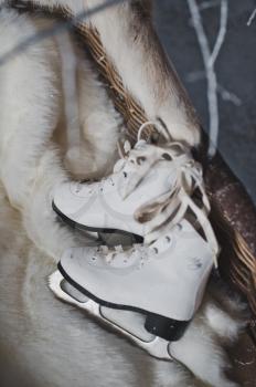 White skates in a sled.