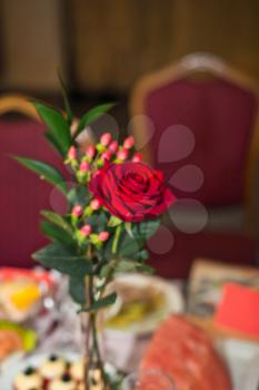 The red rose in a vase from glass costs on a table.