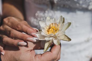 The white water Lily in the hands of the newlyweds.
