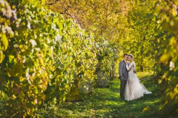 Portrait of the newlyweds strolling through the vineyards.