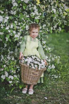 Portrait of a girl with a huge basket in his hands.