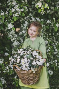 Girl in dress with basket of white flowers in his hands.