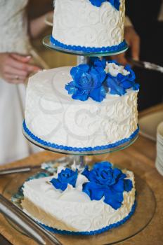 A huge cake with blue flowers from the cream.
