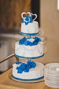 A huge cake with blue flowers from the cream.