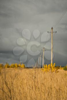 Line of electricity transmission on background of a wheat field.