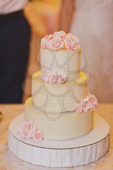 Beautiful sweet cake with roses.