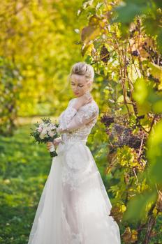 Happy beautiful bride on the background of the vineyards.