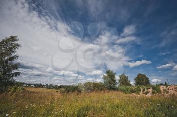 Summer meadow with grasses and feather clouds.