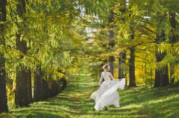Portrait of a bride dancing on a background of shaded spruce Avenue.