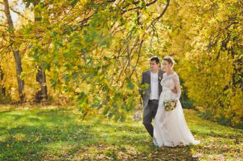The bride and groom walking in the autumn forests paths.