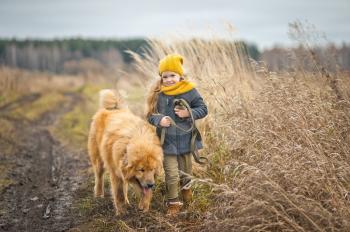 Walking baby with dog on autumn field of wheat.