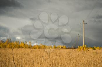 Poles of power lines on the background of Golden autumn colors.