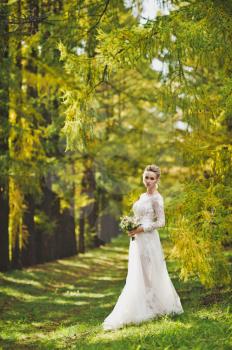 Portrait of the bride against the background of the autumn forest.