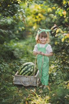 Portrait of a child with a huge watermelon in the cart.