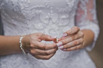 Delicate hands with wedding rings.