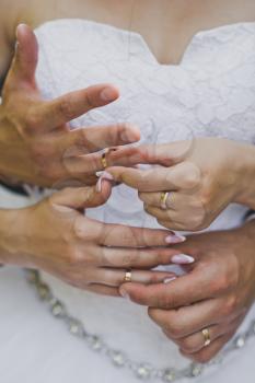 Wedding rings in the hands of the newlyweds.