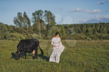 A village girl near a grazing cow.