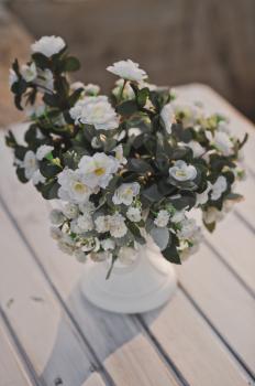 Small bouquet of mock orange on the table of the white boards.