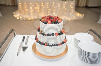 Beautiful three-tiered cake decorated with colorful flowers.