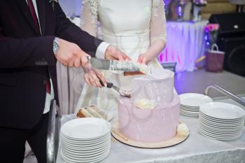 The couple cut a wedding cake for a tea party with the guests.