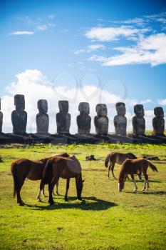 Wild horses against Ahu Tongariki. Easter Island